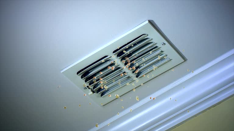 Best Ductwork Cleaning Services  in Cherry Brah, NC