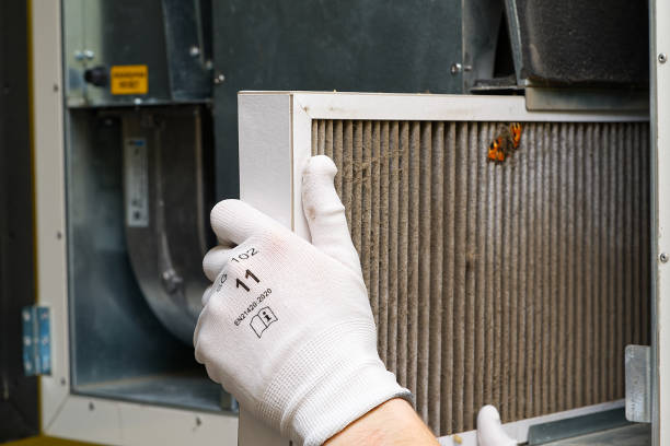 Best Ductwork Cleaning Services  in Cherry Brah, NC