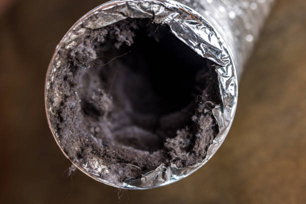 Best HVAC Air Duct Cleaning  in Cherry Brah, NC