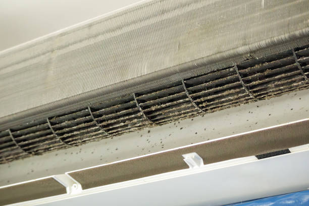 Best Commercial Air Duct Cleaning  in Cherry Brah, NC