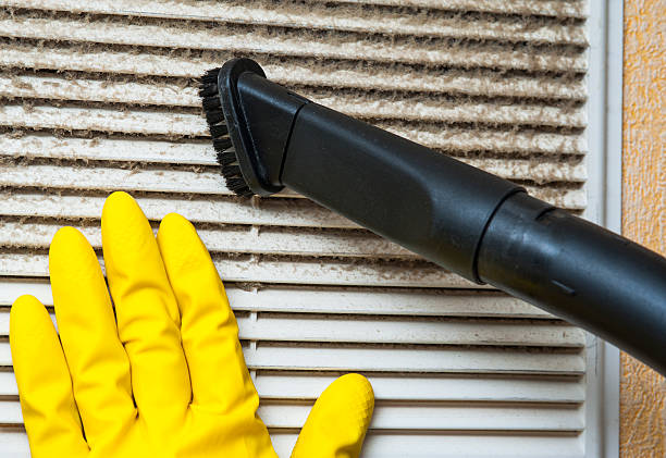 Best Affordable Duct Cleaning Services  in Cherry Brah, NC